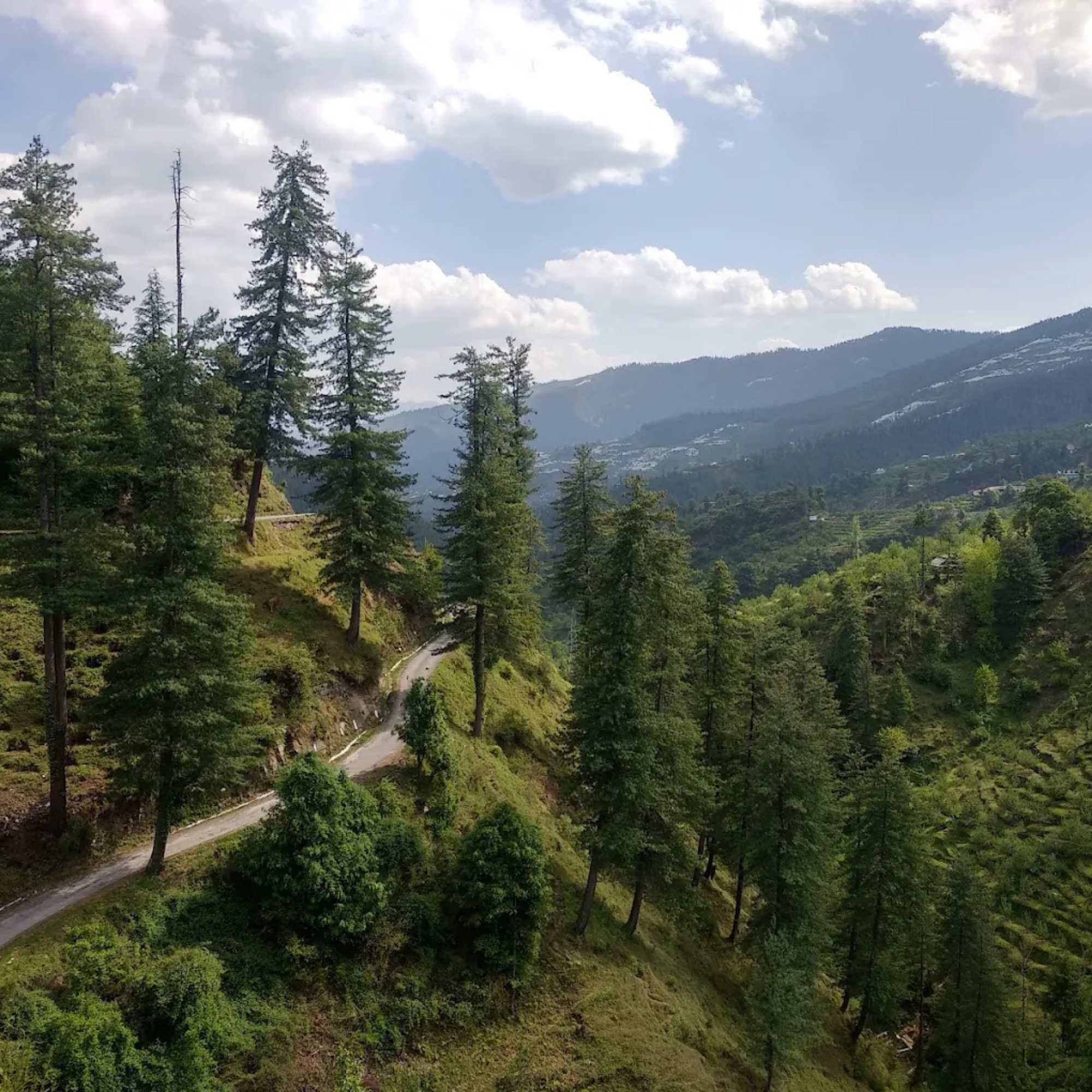 Chandigarh to Chanshal Pass