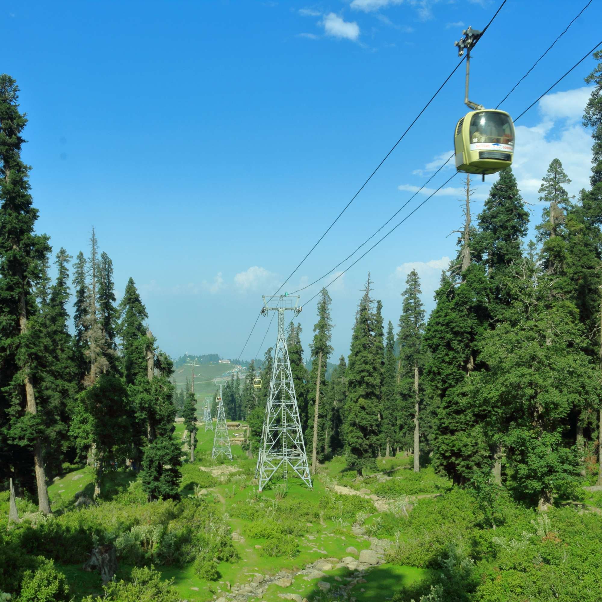 Gulmarg Gondola cable car rising above pine forests
