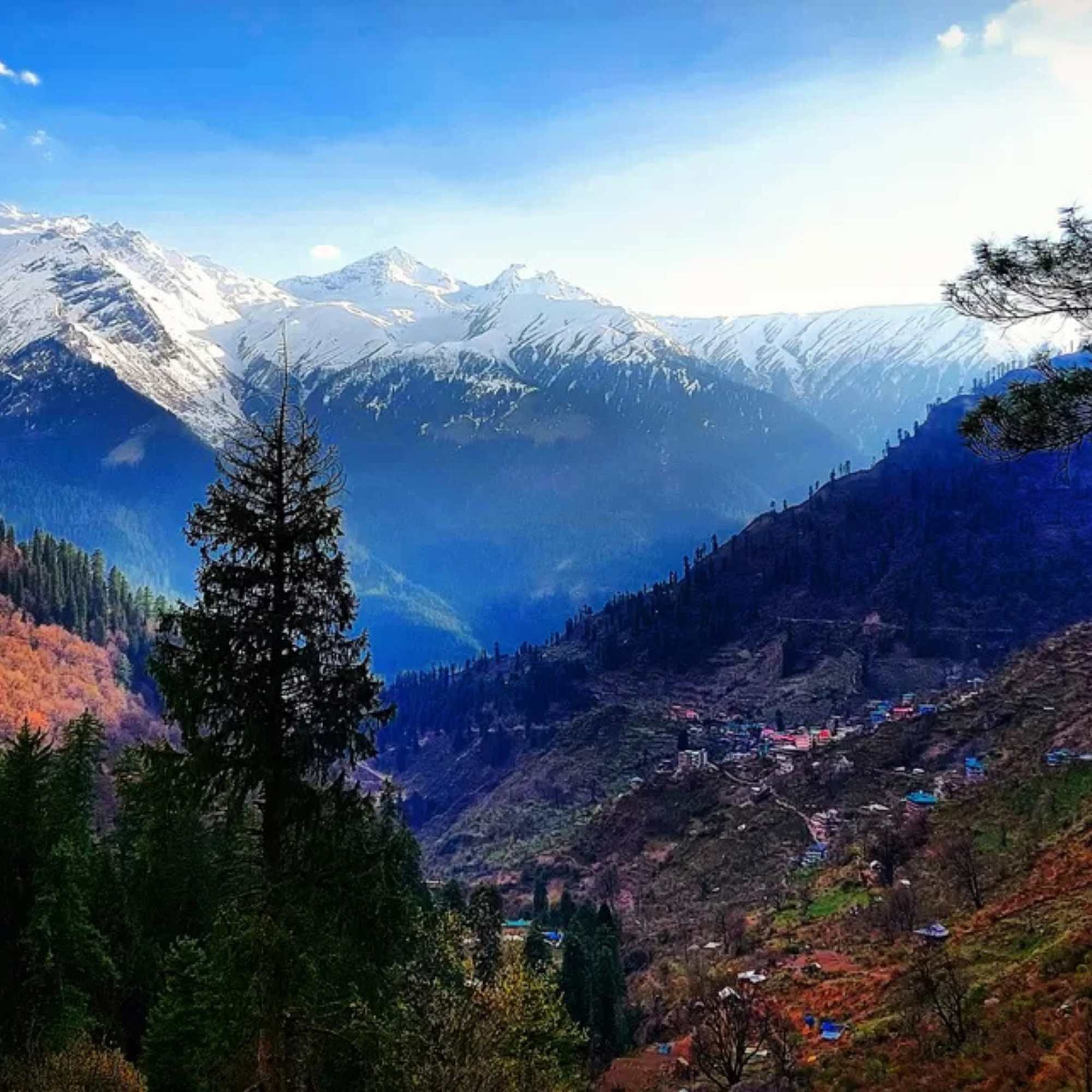 Unspoiled natural beauty of Chalal Village attracting travelers seeking an offbeat Himachal experience.jpg