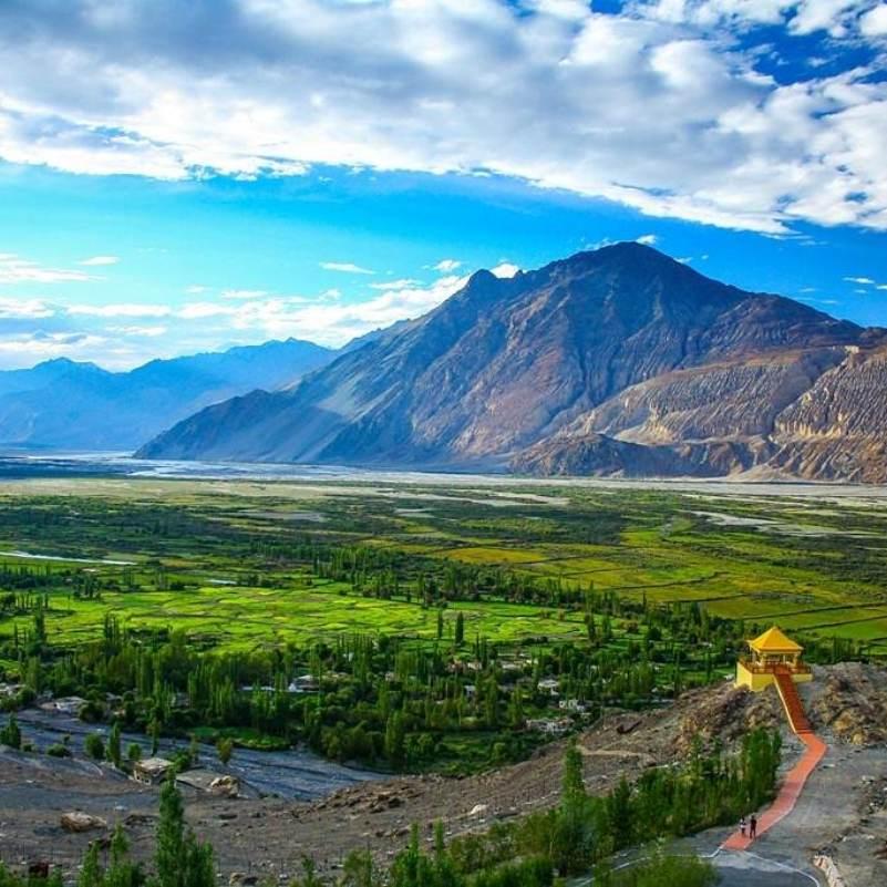 Cold desert sand dunes of Hunder in Nubra Valley stretching toward the mountains, the signature landscape most travellers come for