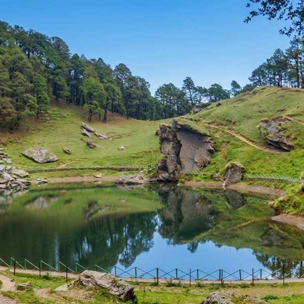 The forest trail to Serolsar Lake from Jalori Pass, a 5 km shaded walk through oak and deodar used by most day trekkers