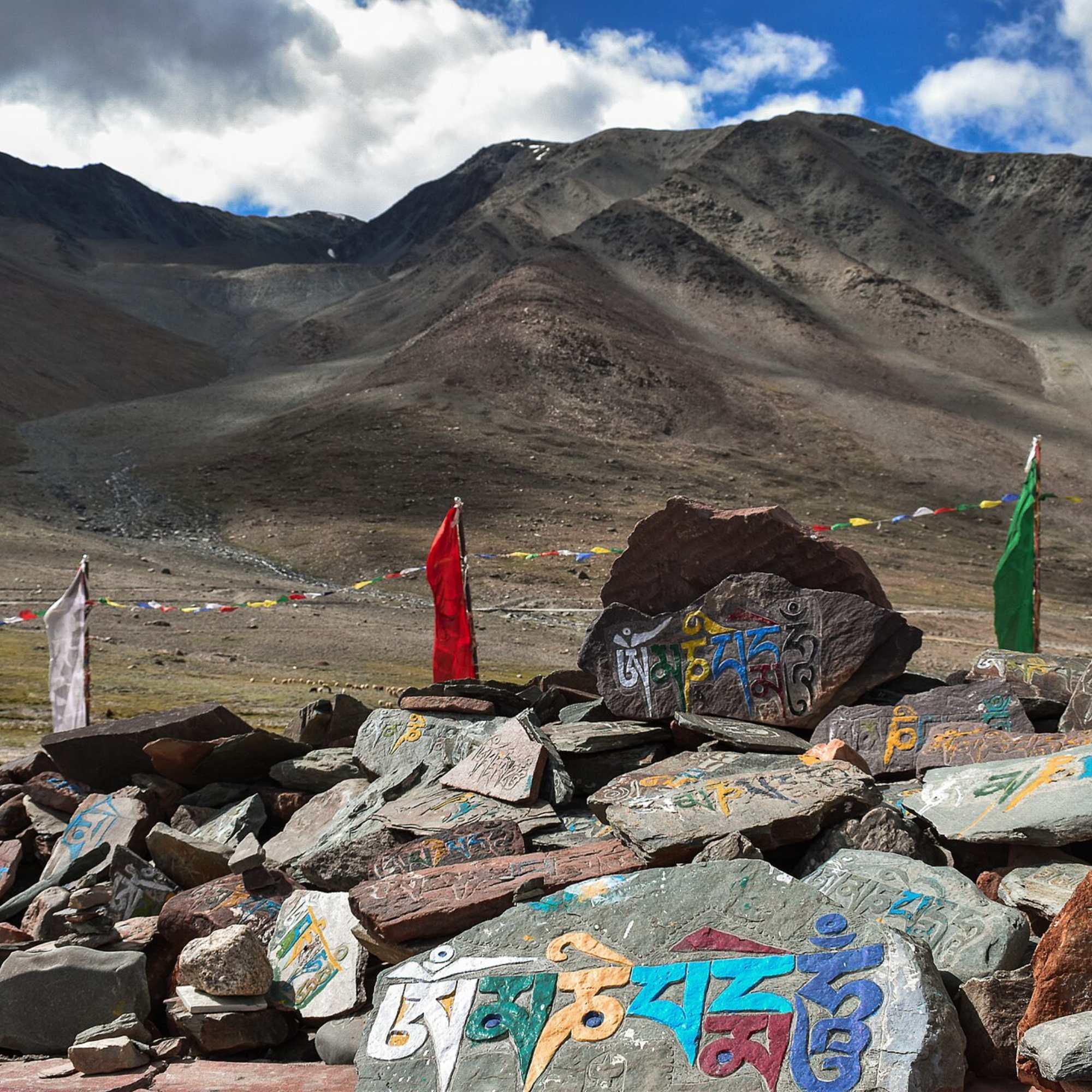 Share Hot Food and Tea at Camp After the Drive