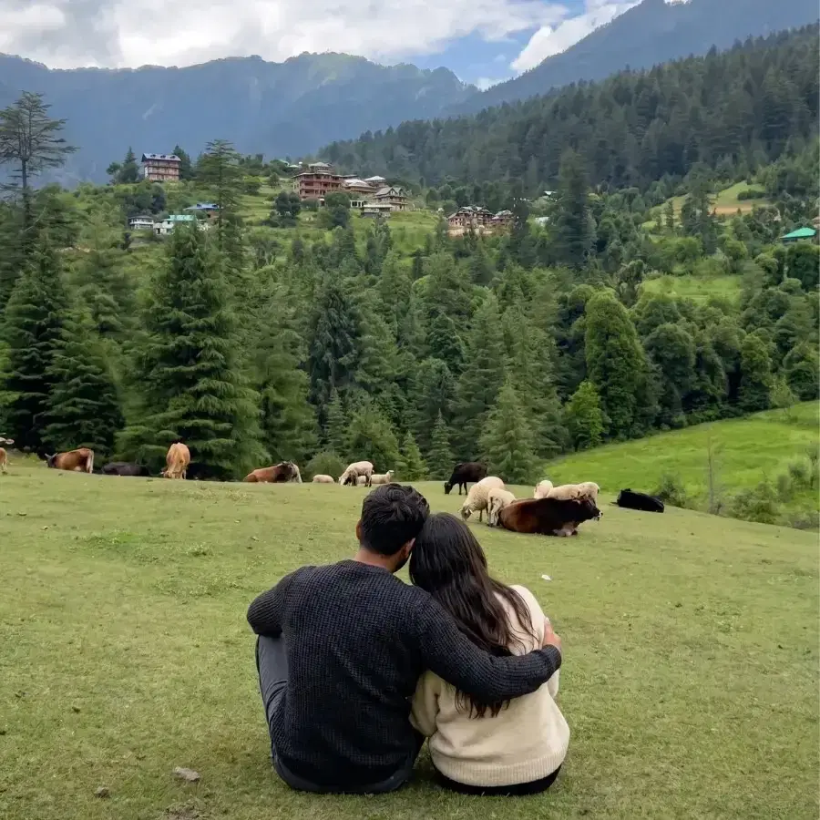 Jibhi Tirthan Valley & Shangarh Meadows Experience