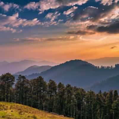 Sunset light on the meadows near Jalori Pass, easily reached by a short walk off the road at the top