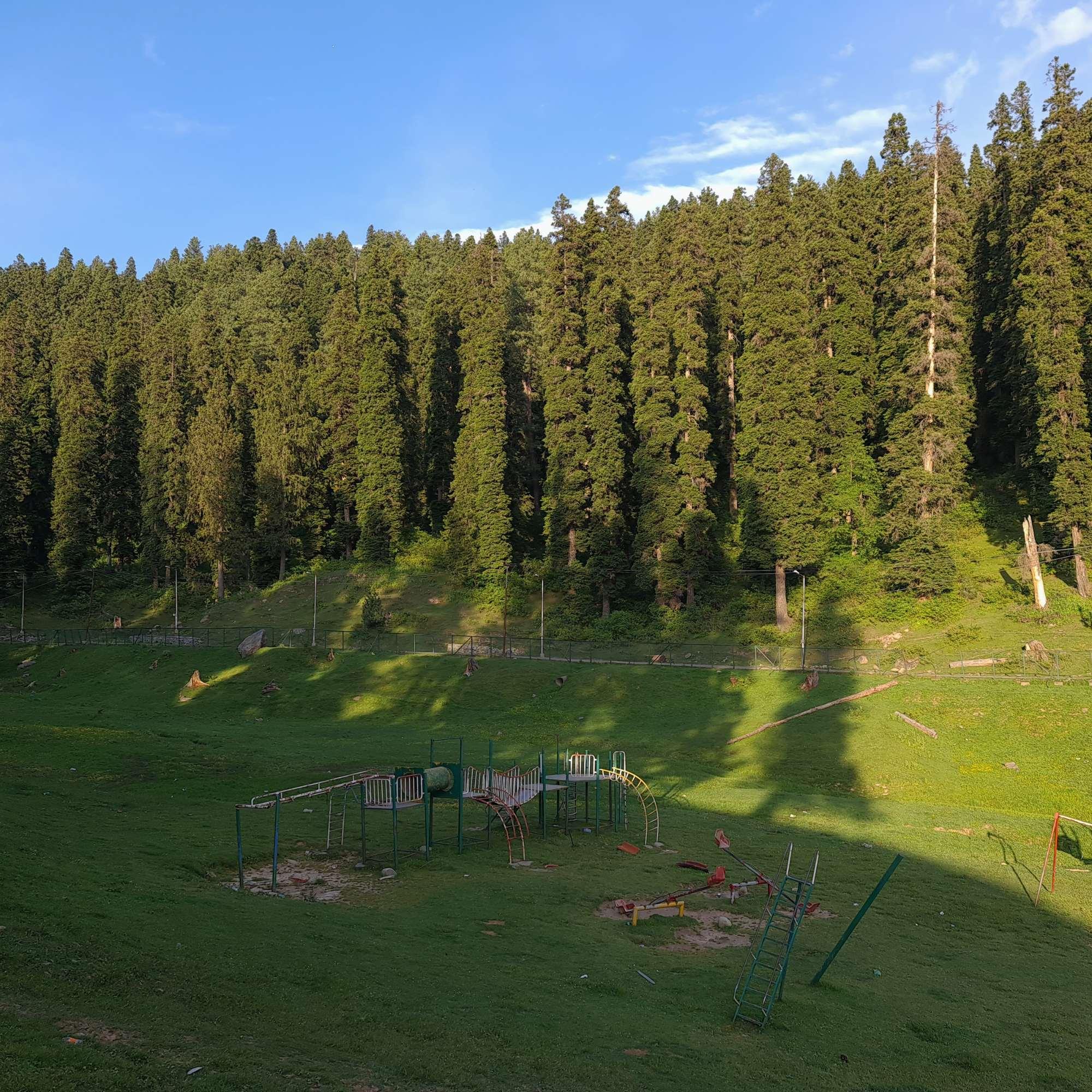 Pine Forests and Meadows in Gulmarg.jpg