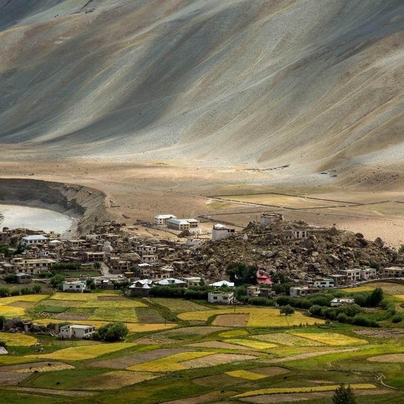 The Zanskar River winding through the valley with barren hills on both sides