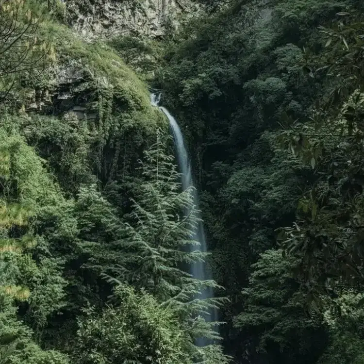 Waterfall Trails (Seasonal)