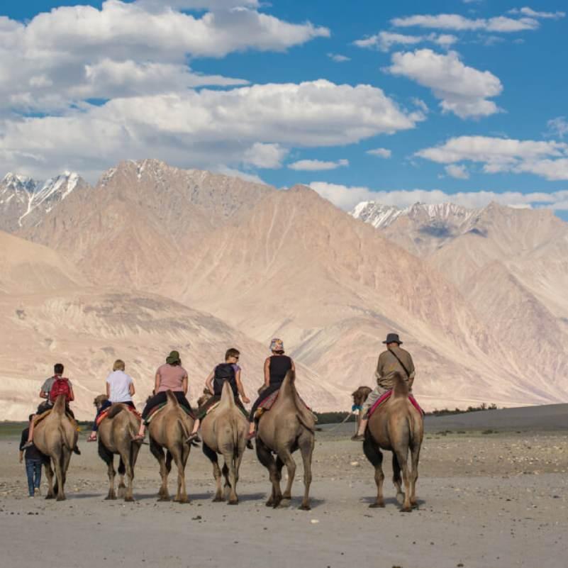 Ride Bactrian Camels at Hunder