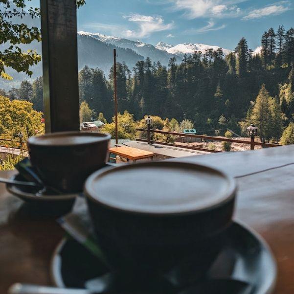 best cafes in Manali