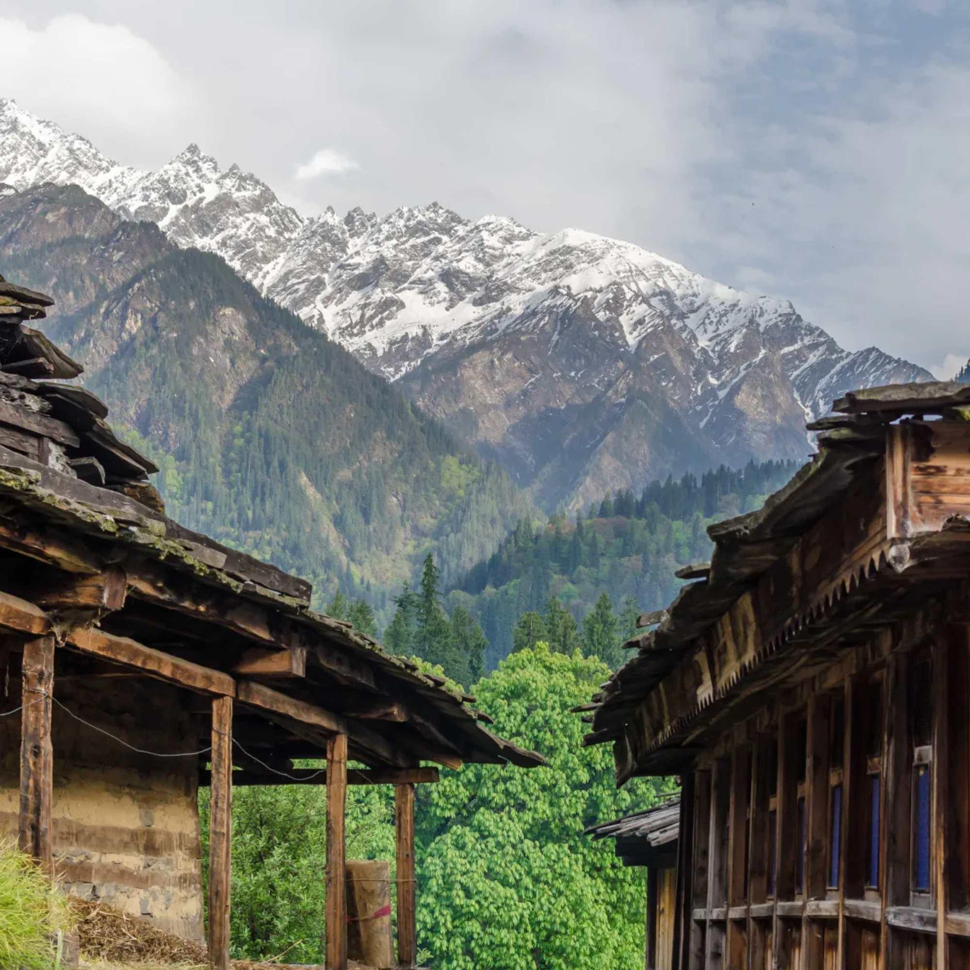 Stunning views of Grahan Village surrounded by lush forests and towering peaks in Parvati Valley.jpg