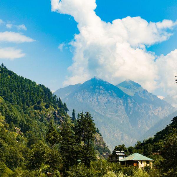 Manali trip cost