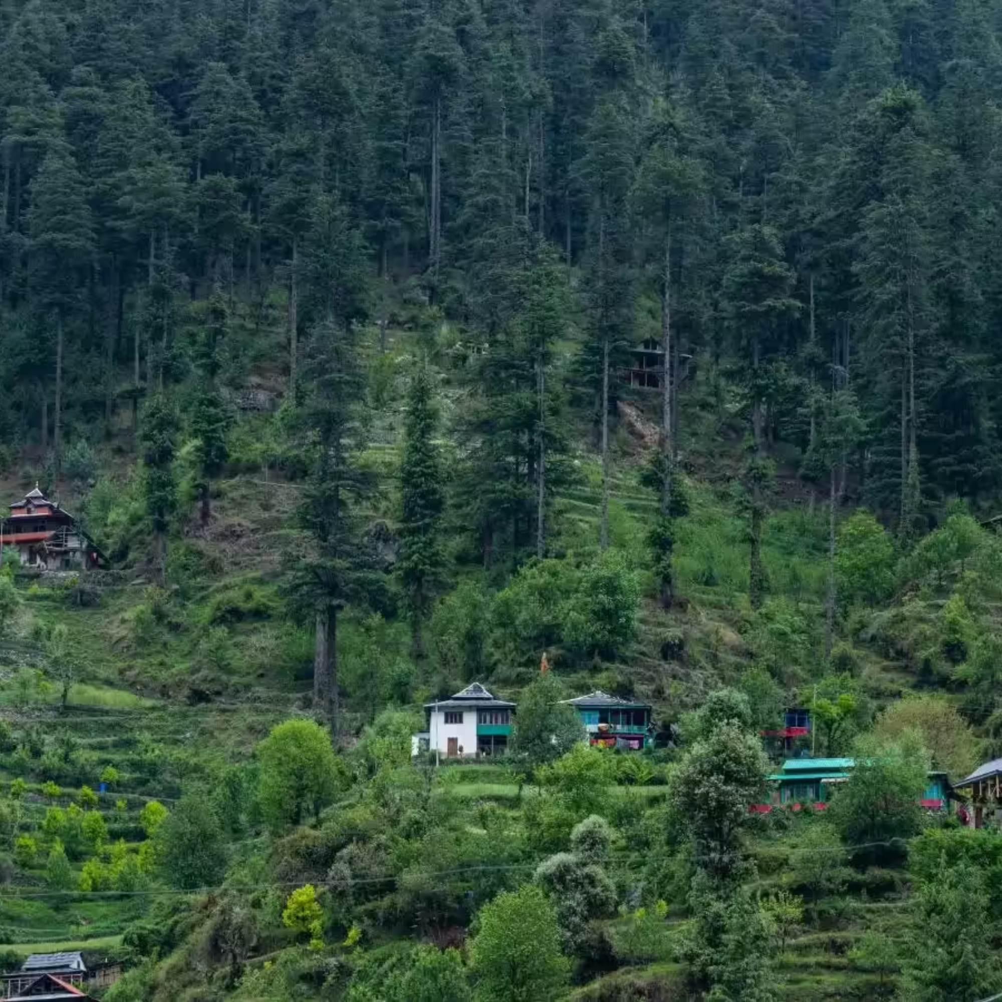 Jibhi in October