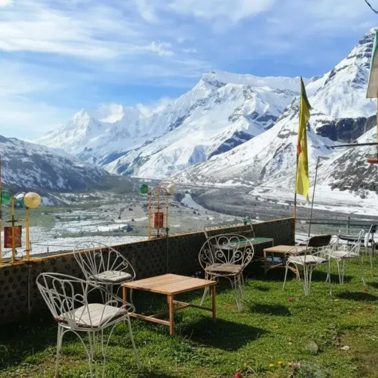 Café Stops with a View