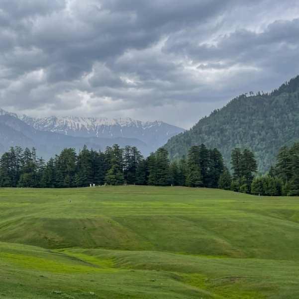 The Shangarh meadow landscape with deodar forest and mountains in Sainj Valley
