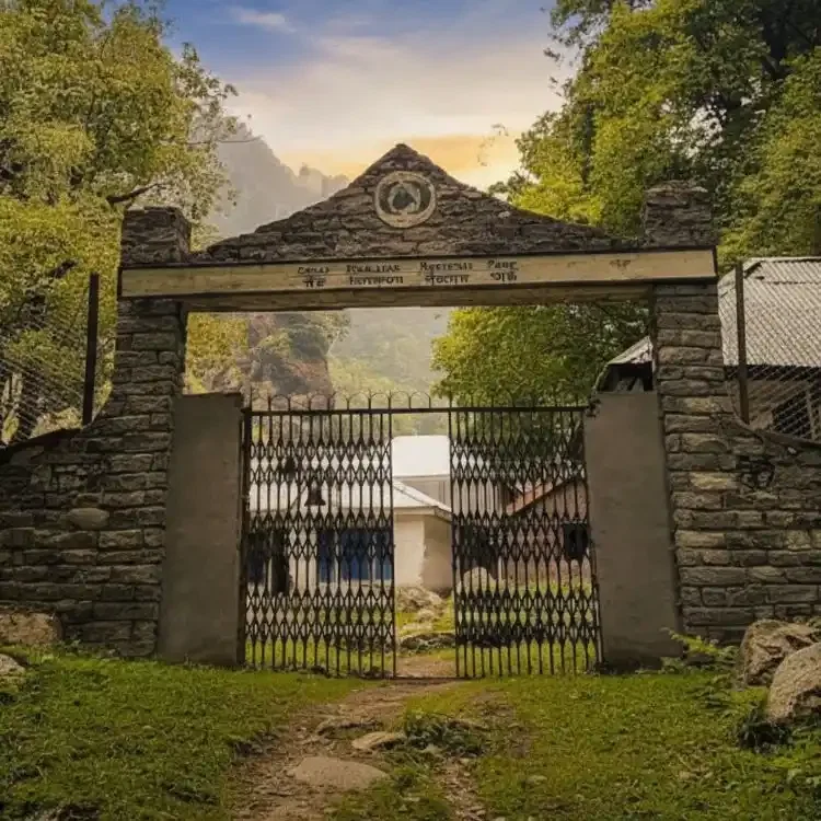 Forested high catchment inside the Great Himalayan National Park, the kind of foot only wilderness that defines the park's interior