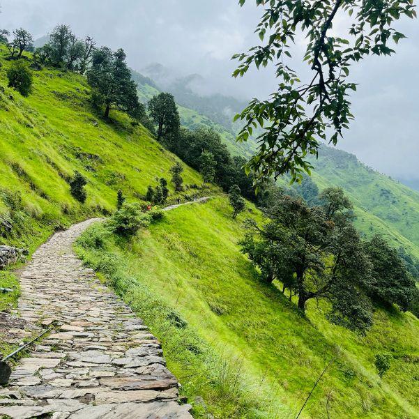 Manali local sightseeing itinerary