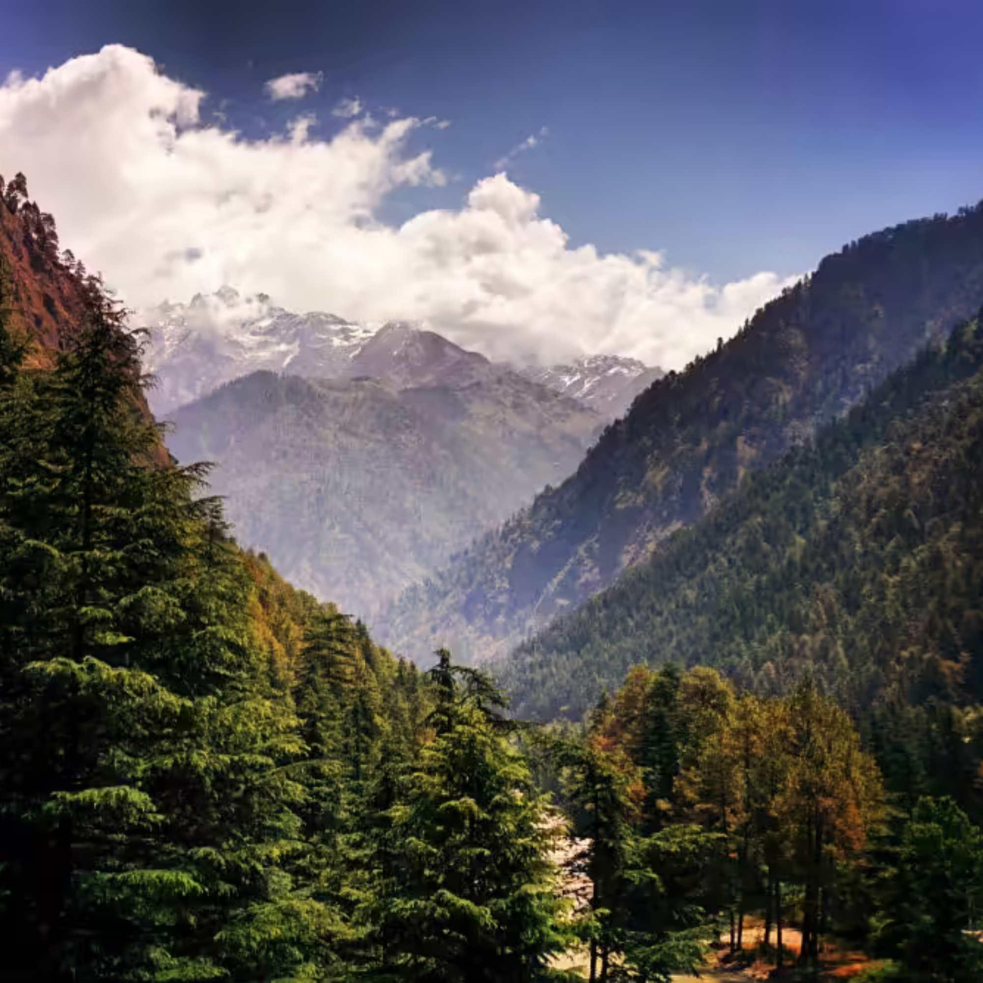 Stunning riverside trail leading to Chalal Village, one of the hidden gems of Himachal Pradesh.jpg