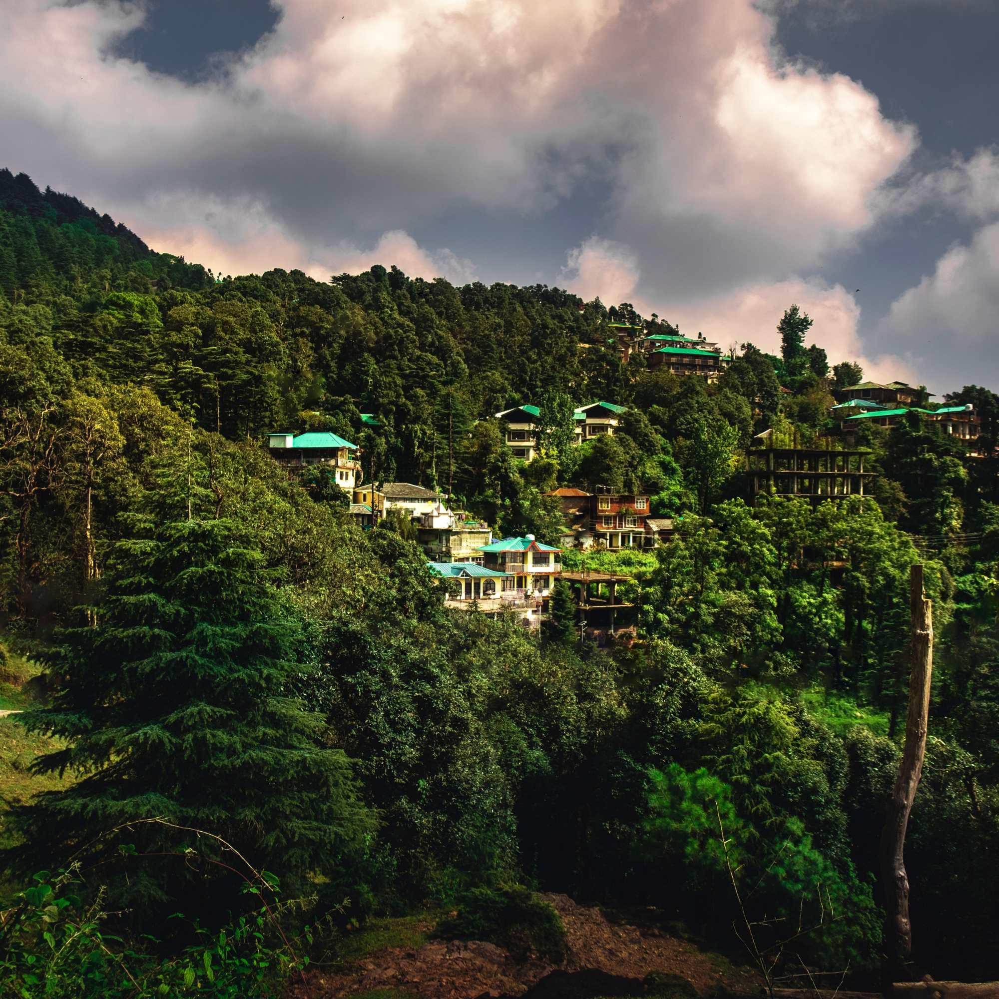 Dharamshala in August