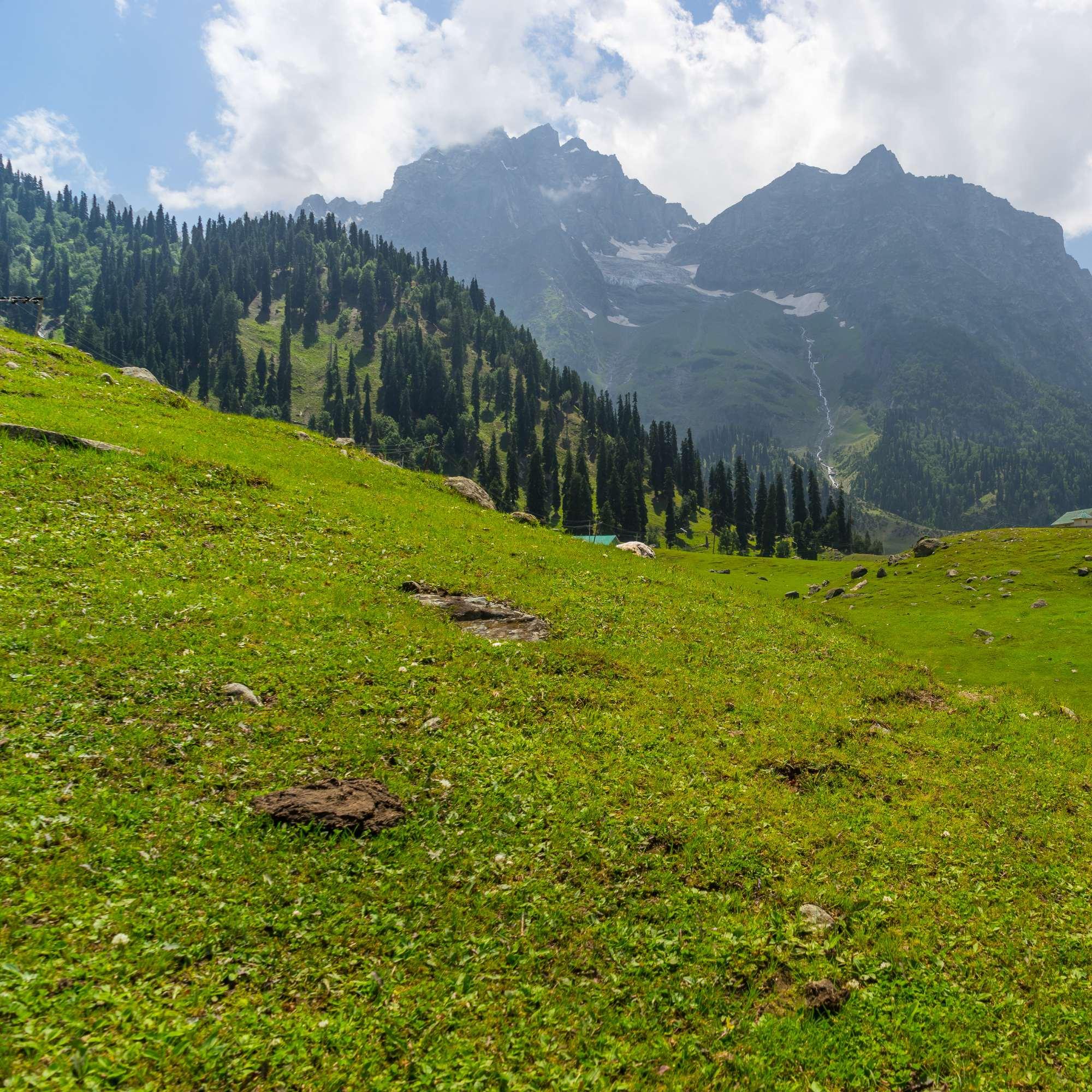 Mountain views and nature in Sonamarg Kashmir