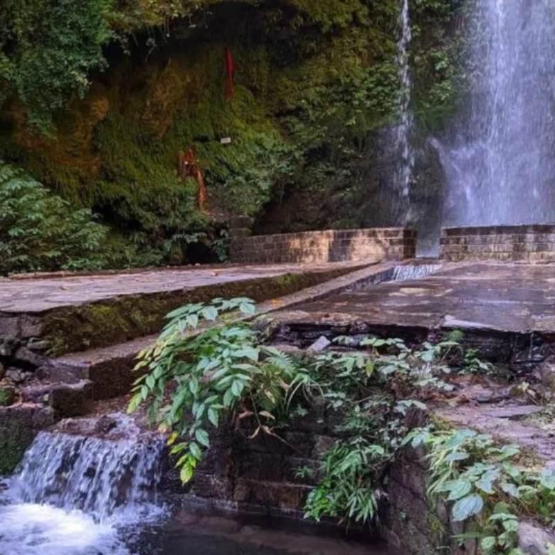 Jibhi Waterfall flowing through the pine and deodar forest, seen from the stone and wooden bridge path maintained by the forest department