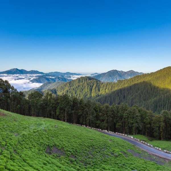 Jibhi for honeymoon