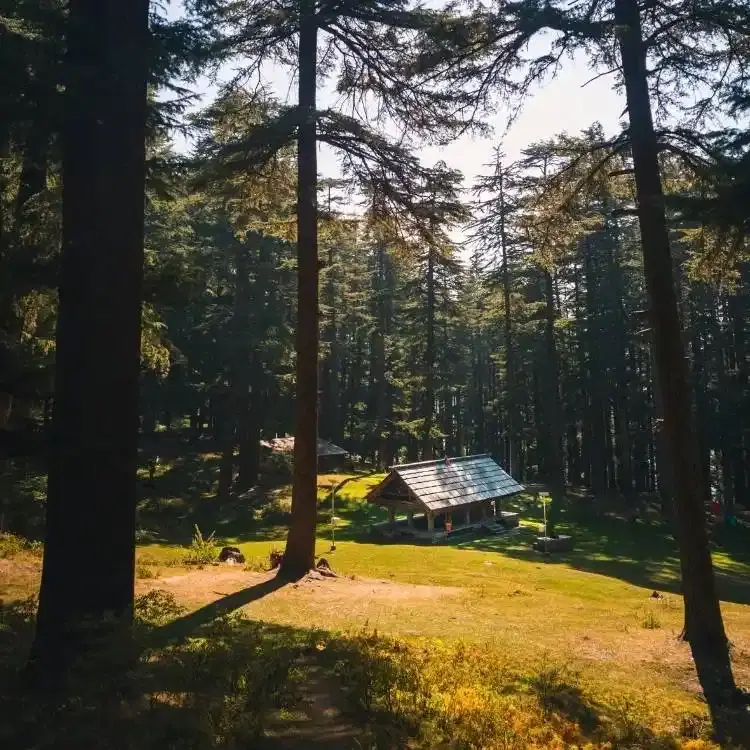 Best Jibhi Tirthan Valley & Jalori Pass Weekend Tour From Delhi