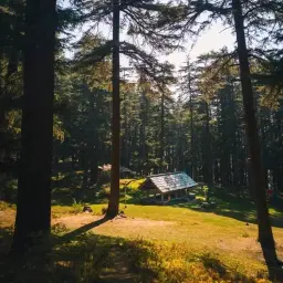 best-jibhi-tirthan-valley-jalori-pass-weekend-tour-from-delhi-4d3n