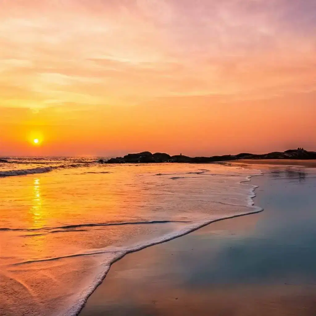 Best Kochi, Munnar, Alleppey & Kerala Beach Tour