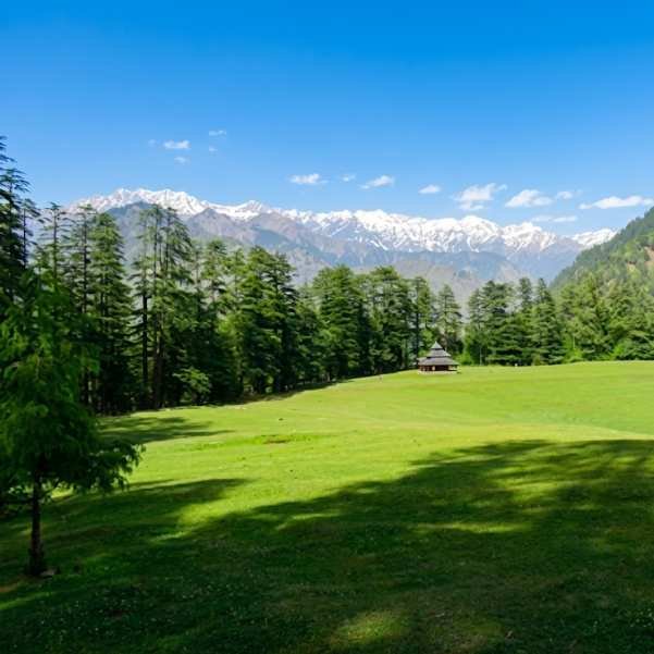 The wide green meadow at Shangarh in Sainj Valley, ringed by deodar forest with the Shangchul Mahadev Temple visible at the edge