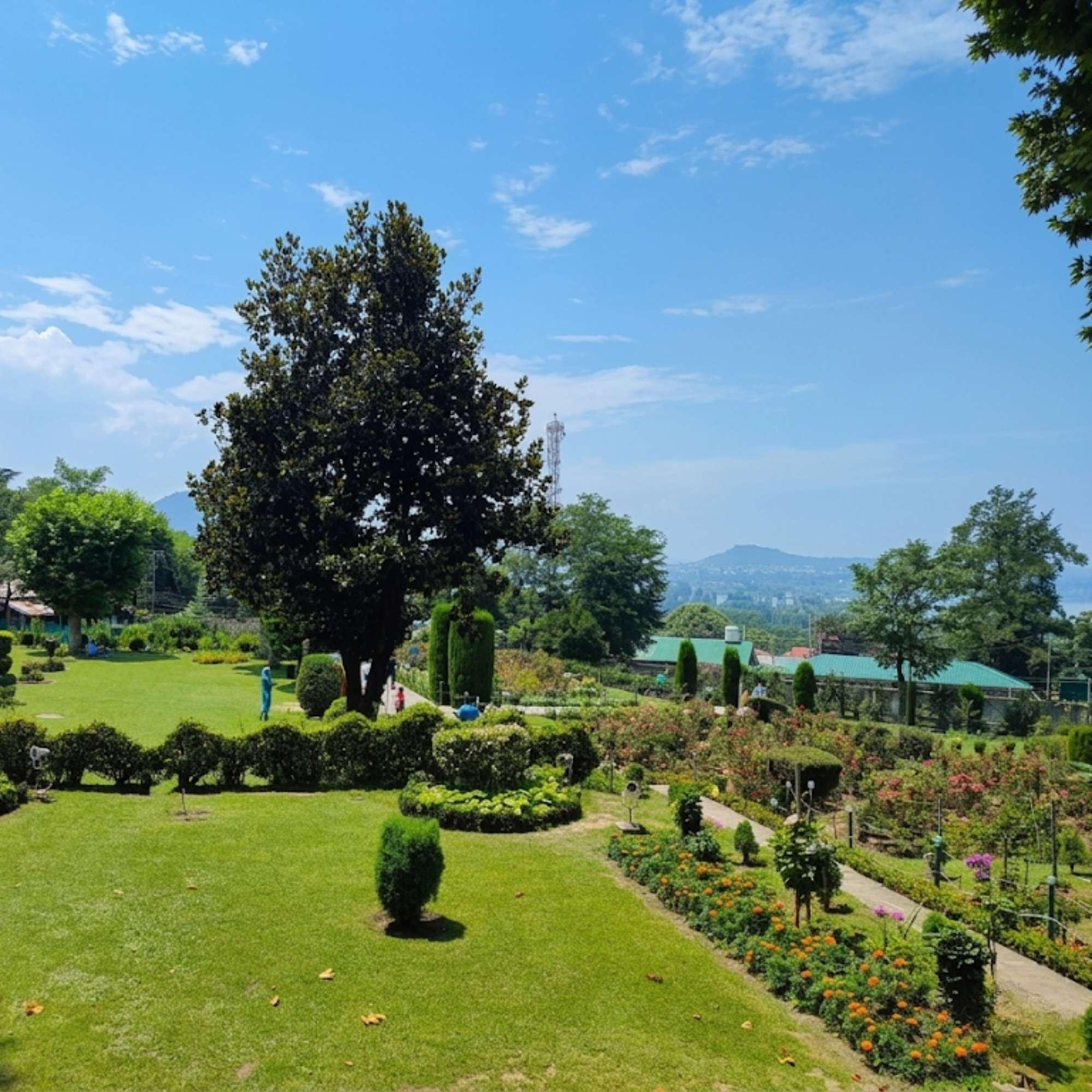 Mughal Gardens Srinagar Tourist Attraction.jpg