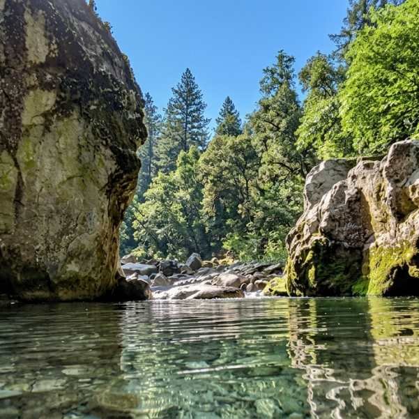 The pine forest stream and pool at Mini Thailand Jibhi, a quiet morning visit before the day trippers arrive, with smooth boulders and clear water on the Pushpabhadra