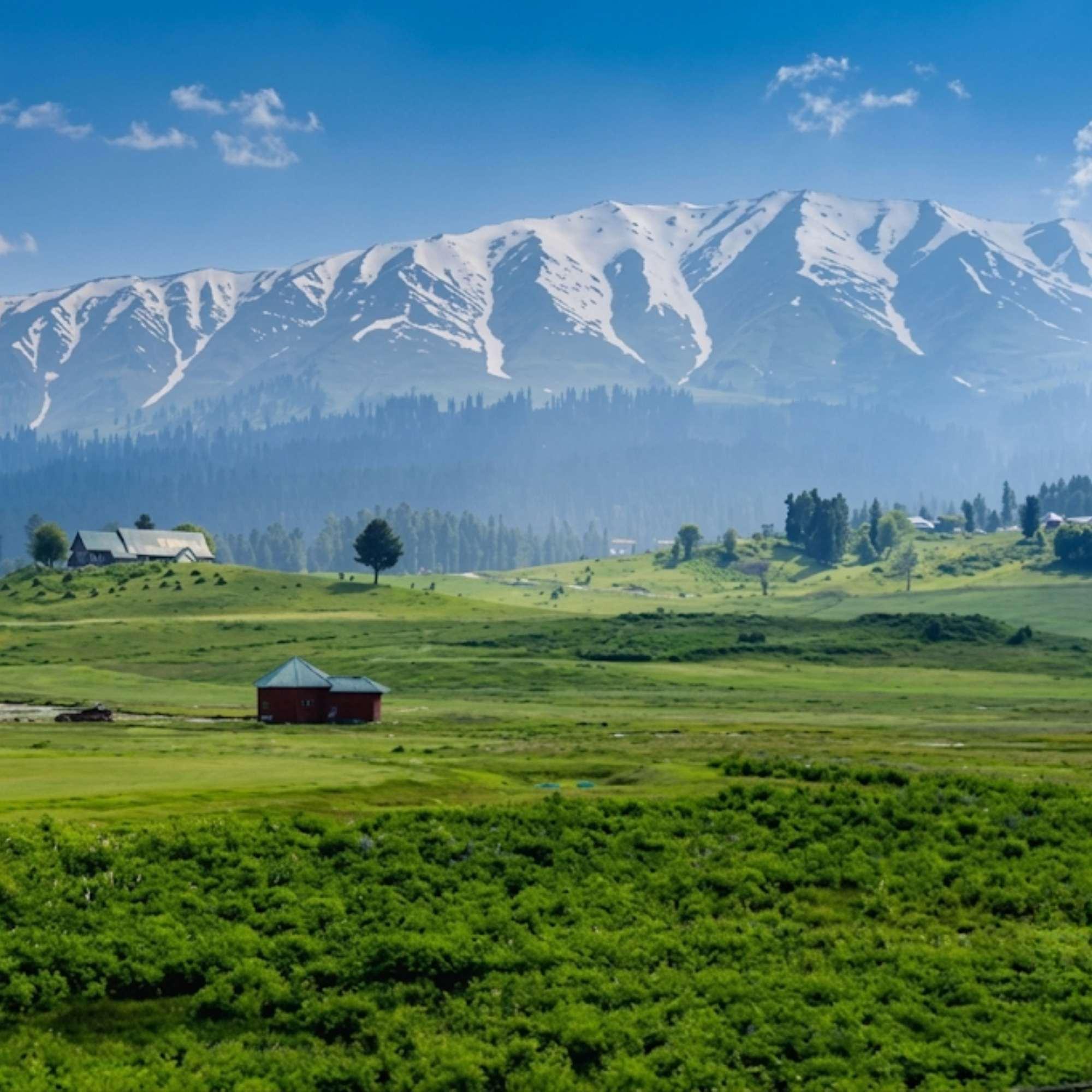 View from the Gulmarg Gondola across the Pir Panjal range