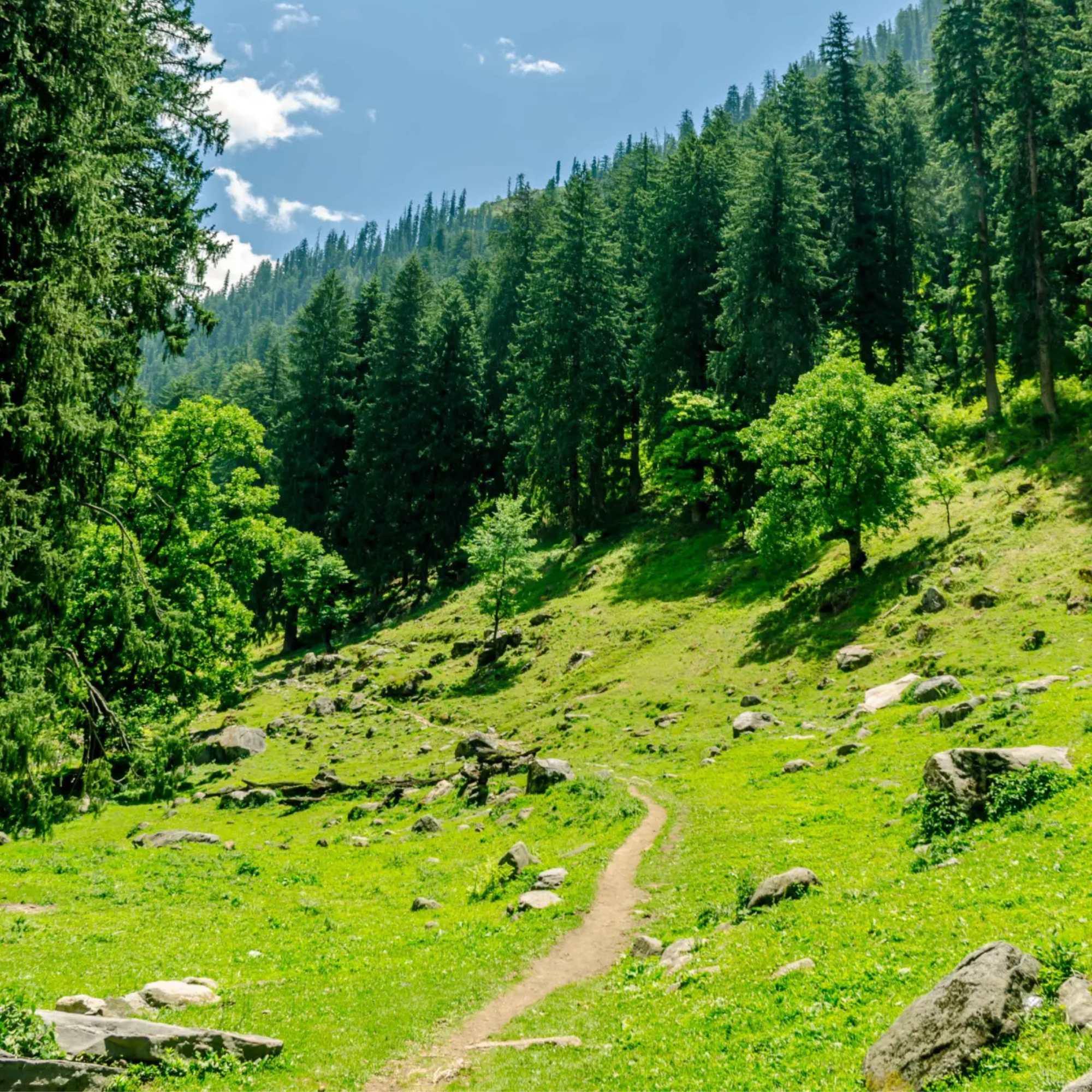 Stunning sunrise view from Kheerganga showcasing the majestic landscapes of Himachal Pradesh.jpg