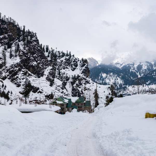 Visitors enjoying snow at Solang Valley near Manali