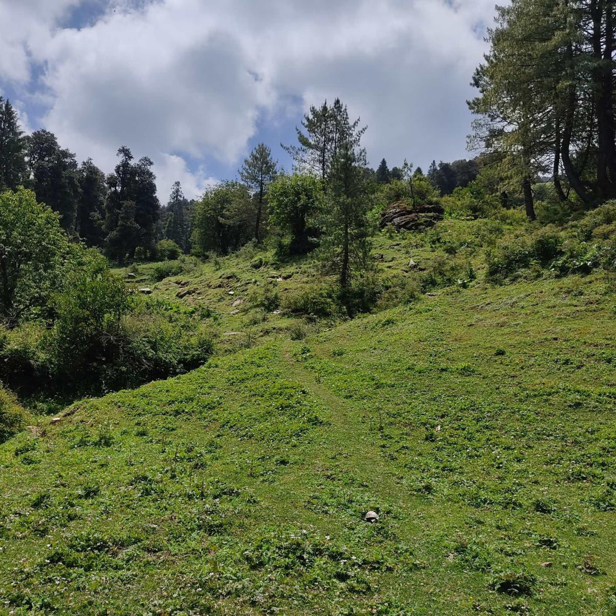 Peaceful landscape of Kuppar Bugyal, perfect for offbeat travel and nature photography.jpg