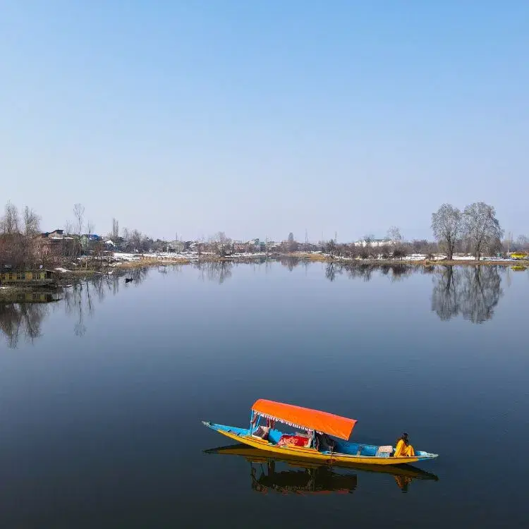 Ride a Shikara on Dal Lake