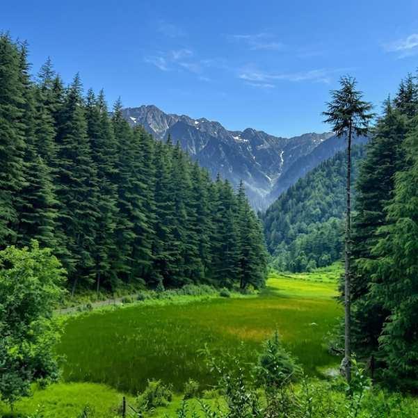 Nahi Village