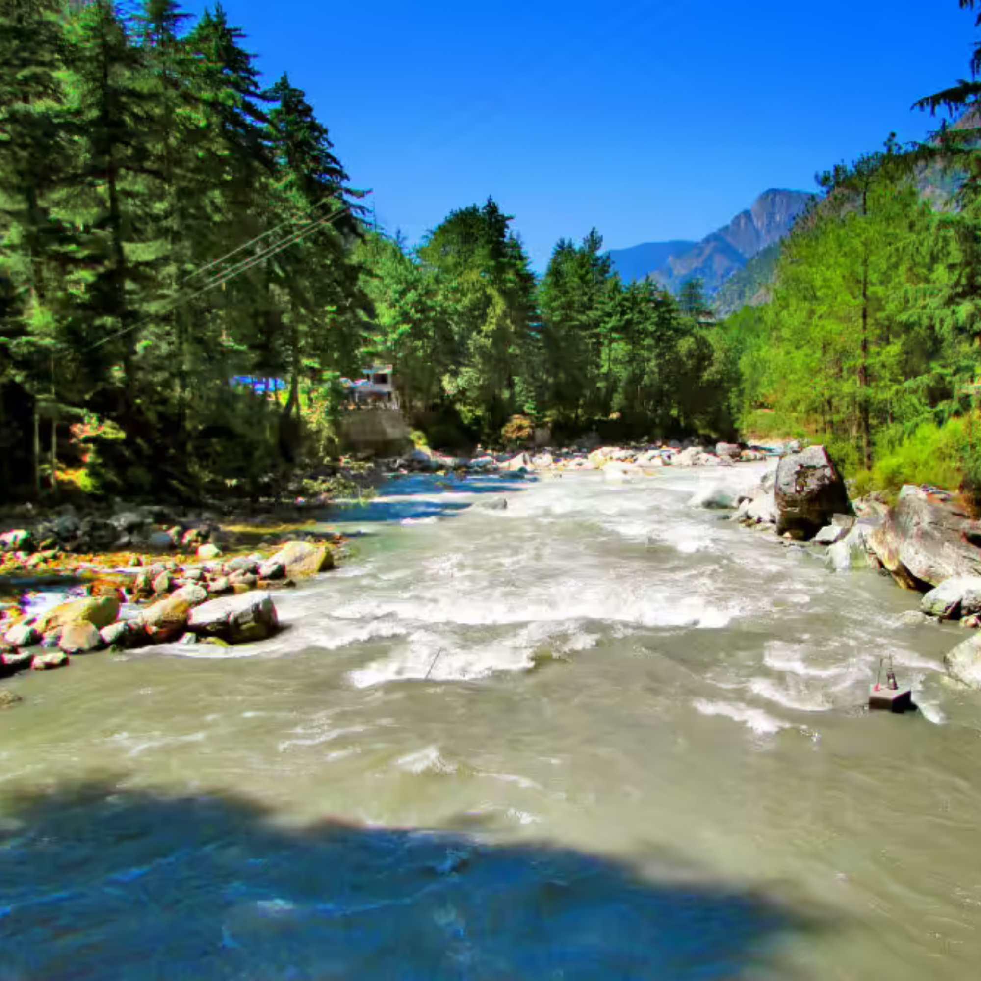 Scenic landscapes of Chalal Village surrounded by pine forests and snow-capped mountains.jpg