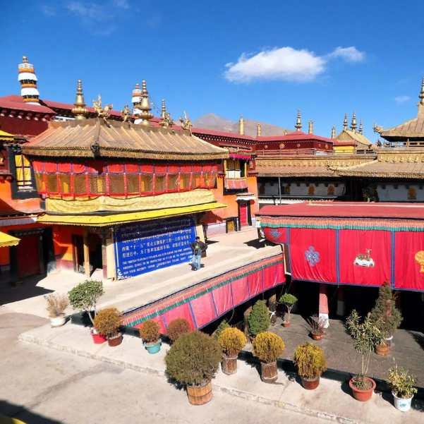 Tsuglagkhang Complex and Namgyal Monastery