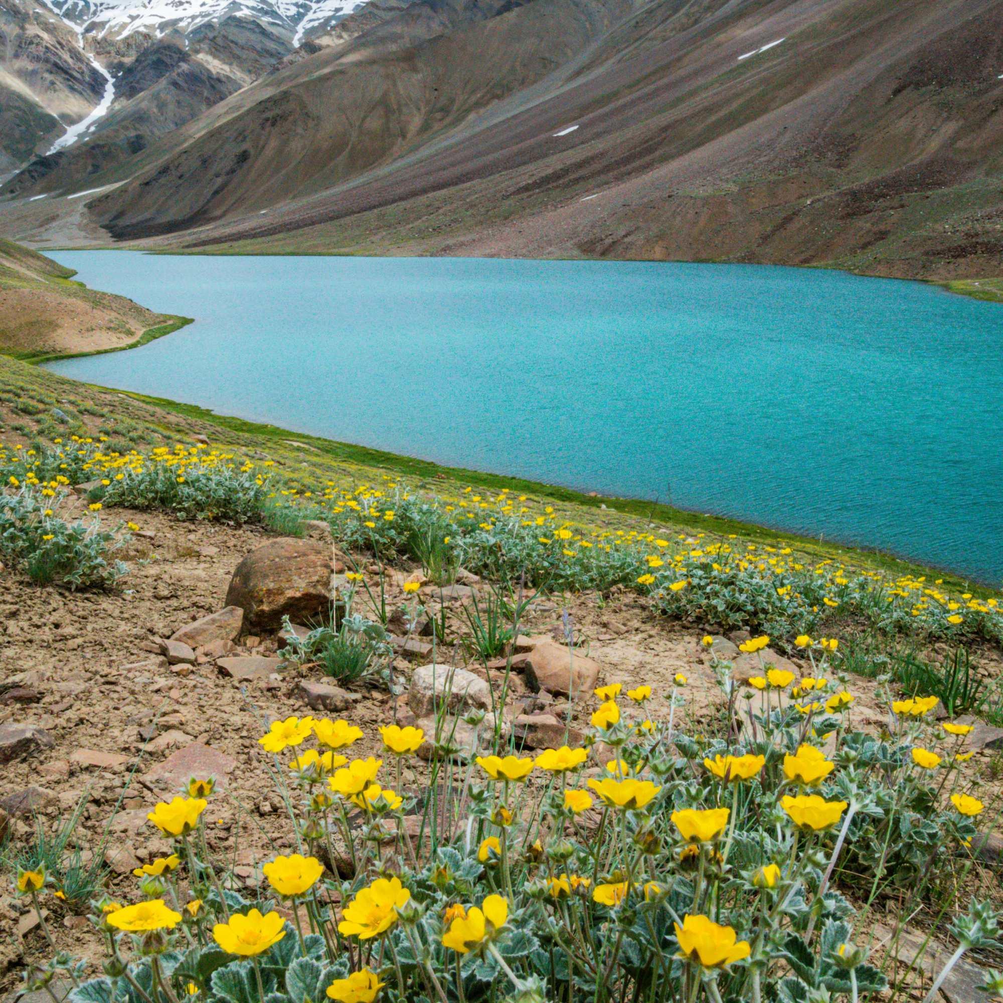 Camp in the Designated Zone and Feel the Altitude Night