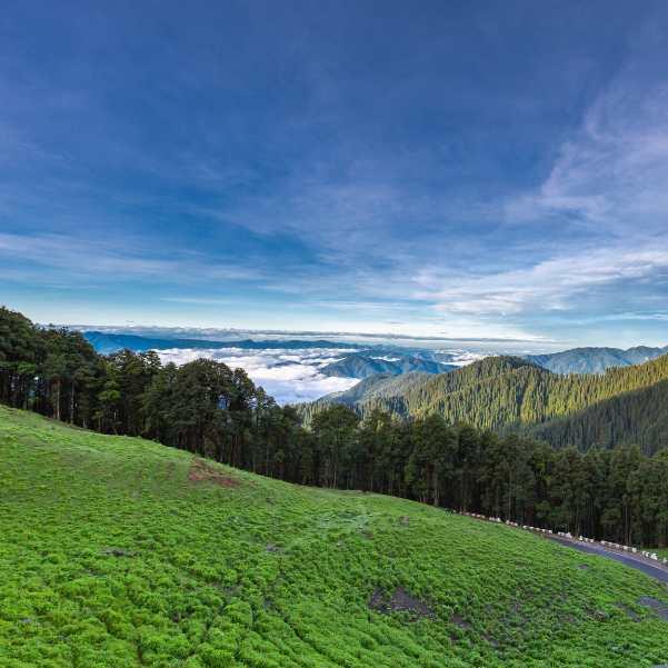 The narrow tarred road climbing from Jibhi and Shoja to Jalori Pass when the route is open for the season