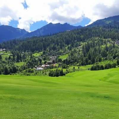 Forest Trails Around Shangarh
