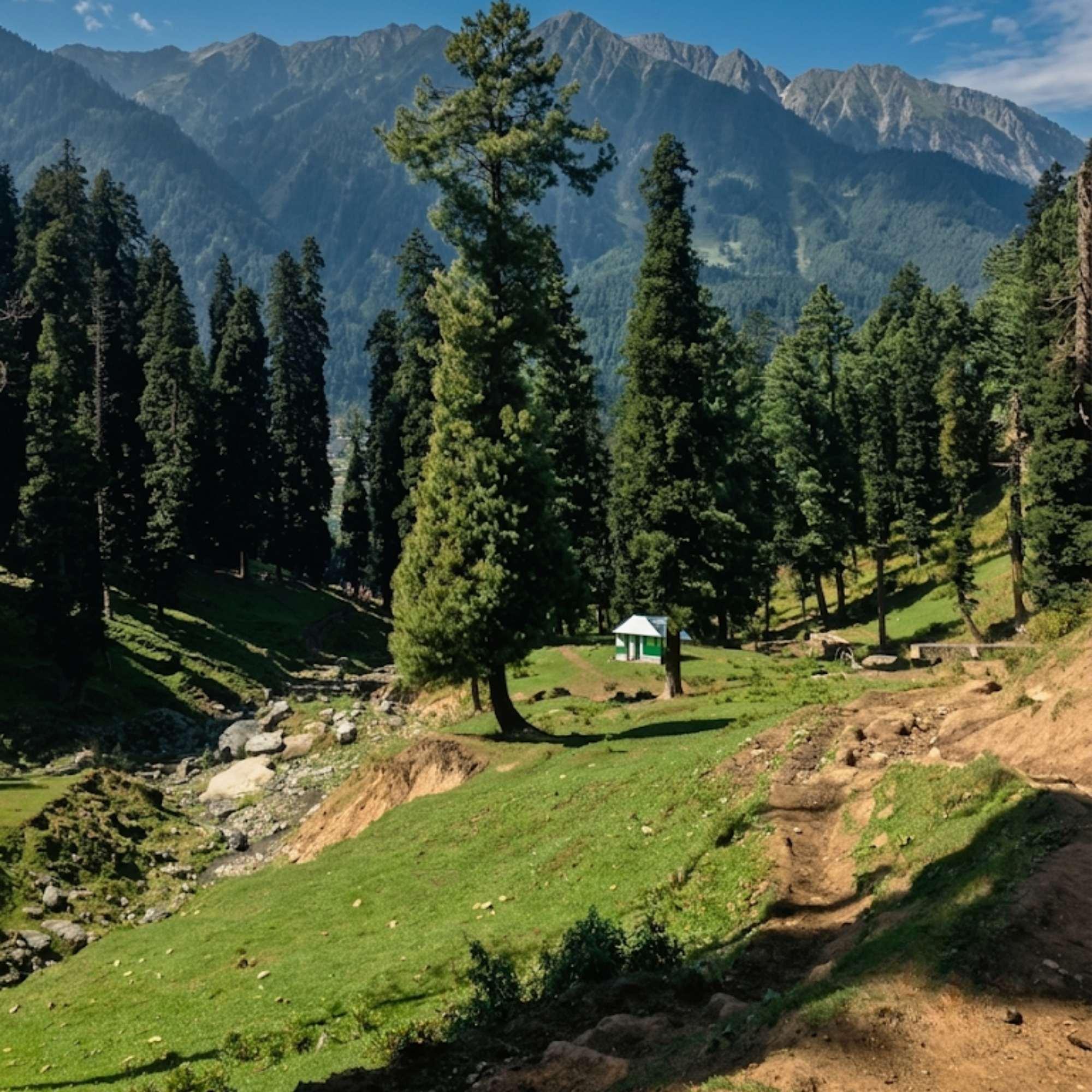 Panoramic view of Baisaran Valley with pine forests and mountains