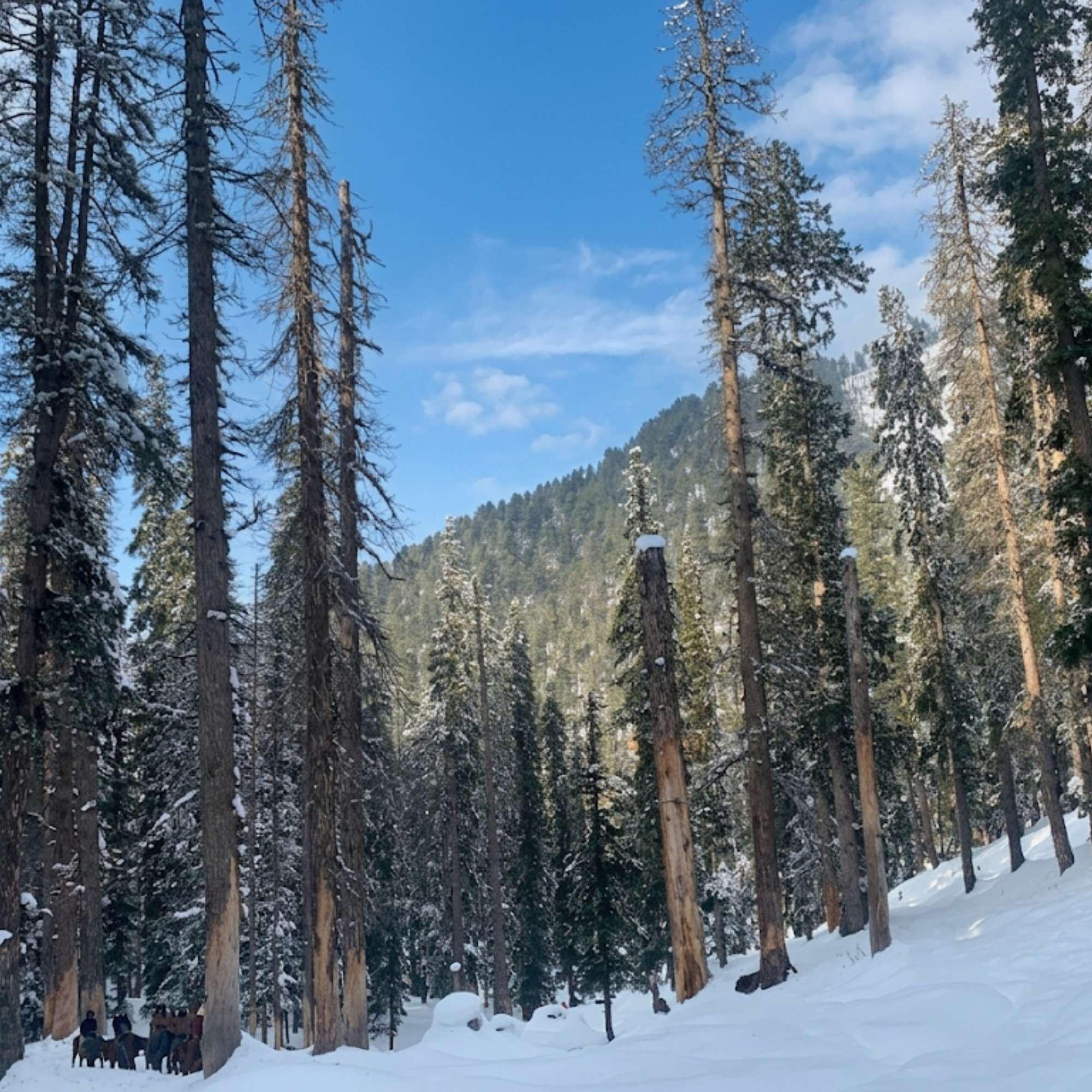 Breathtaking Landscape of Baisaran Valley Pahalgam.jpg