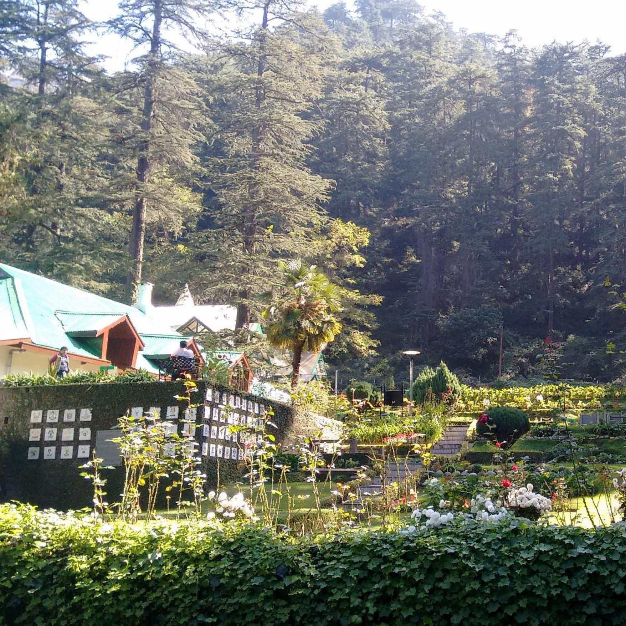 Peaceful environment at Annandale in the Himalayas.jpg