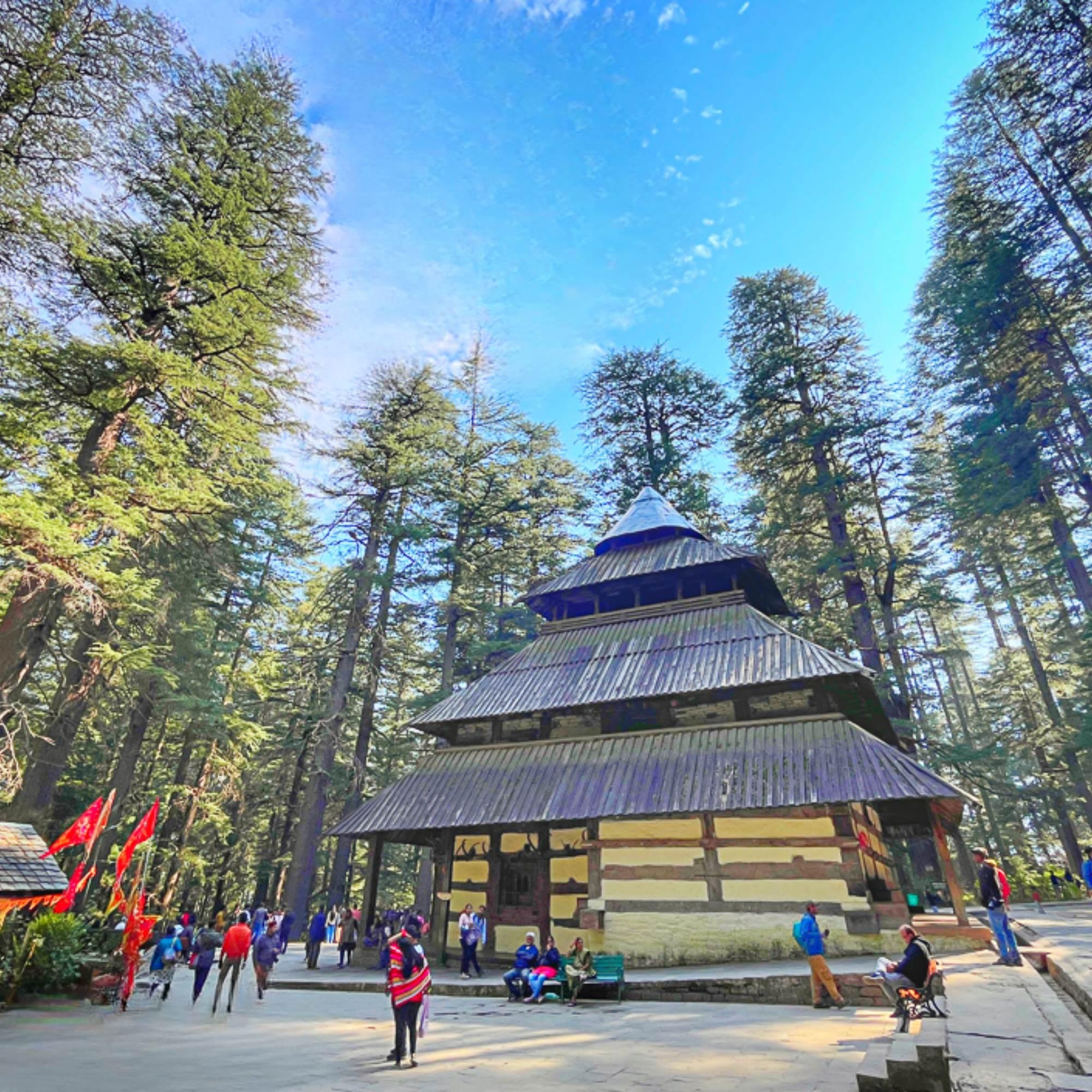 Walk Through the Cedar Forest Around Hidimba