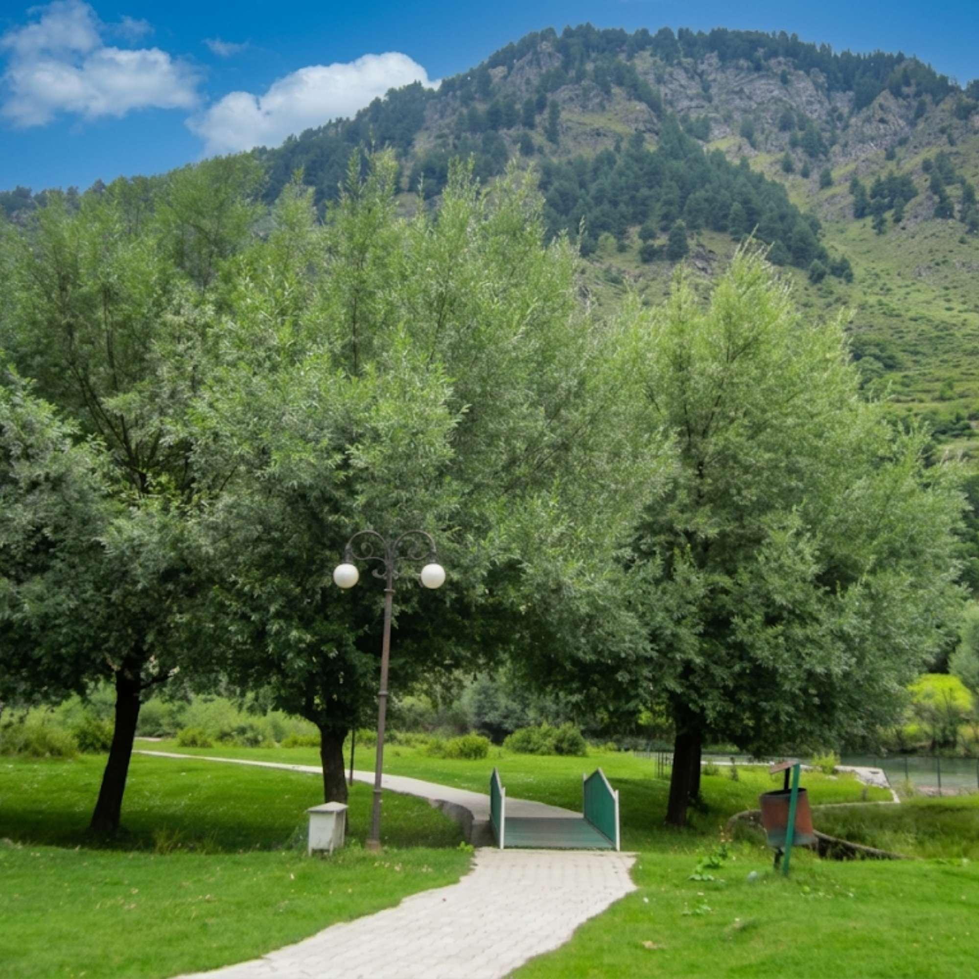 Wide green meadow at Betaab Valley with snow capped mountains