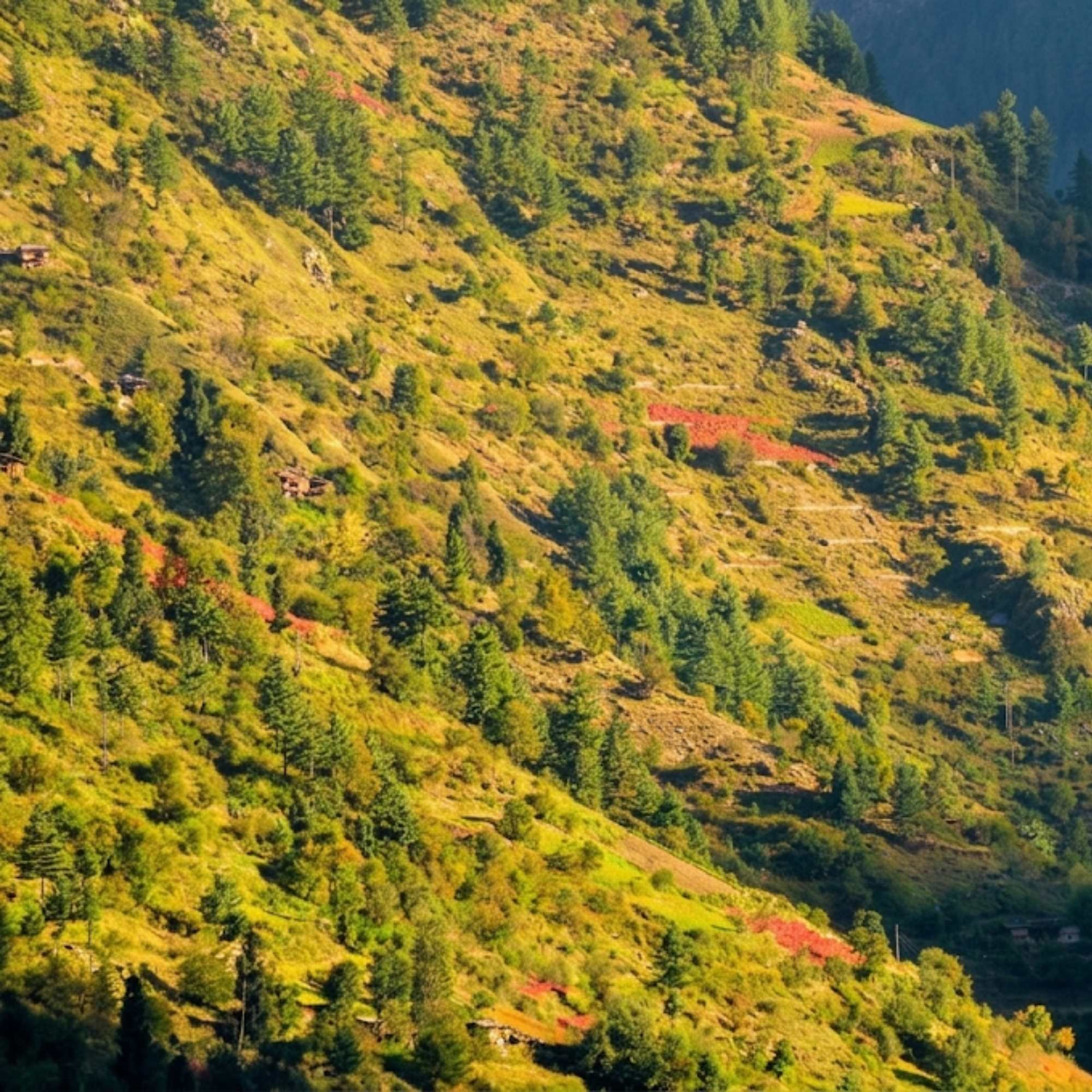 Untouched Natural Beauty of Dodra Kwar.jpg