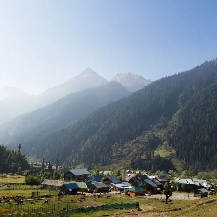 Visit Betaab & Aru Valleys