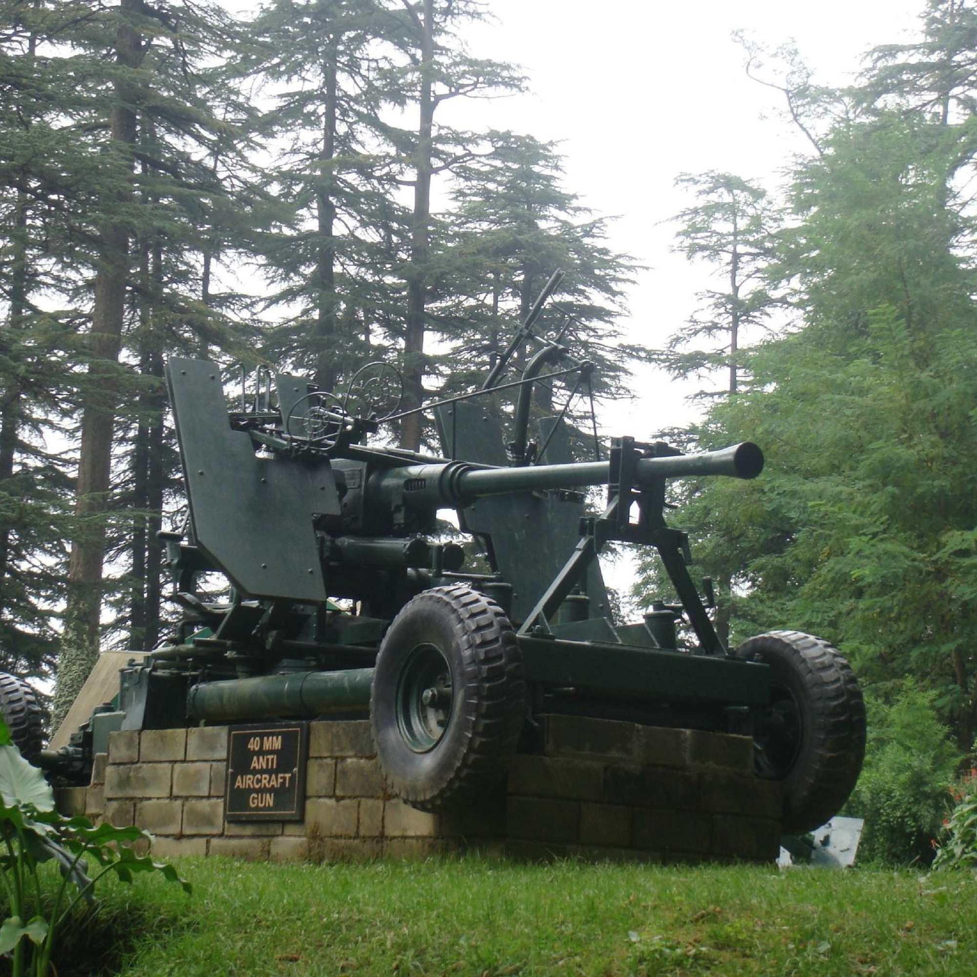 Beautiful flat meadow at Annandale in Shimla.jpg